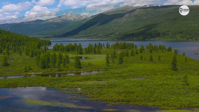 Наша Сибирь 4К: Исток реки Чульча