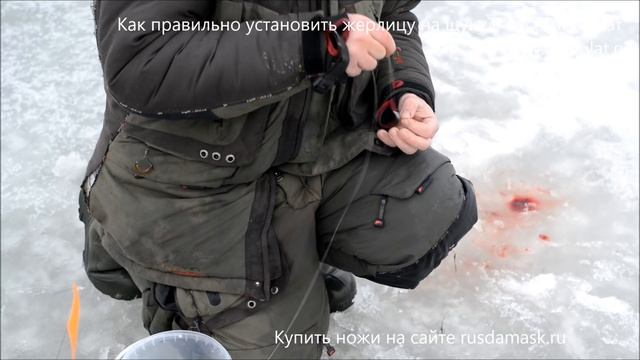 Жерлица на щуку. Как правильно установить жерлицу на щуку? Озеро Глухое (Мякушинское) Зимняя рыбалк