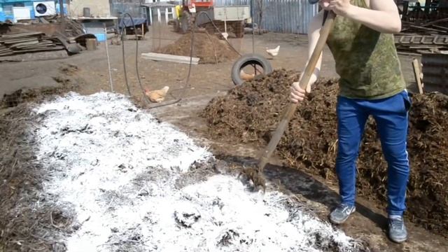 Из чего растут грибы? Где начинаются шампиньоны? Компост для грибов шампиньонов!