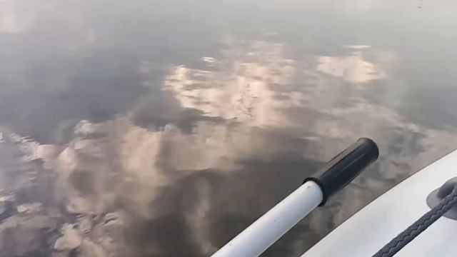 VID 20211103 151429