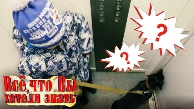 Как появилась бумага? Как устроен глаз? Если застрял в лифте - Всё, что вы хотели знать...