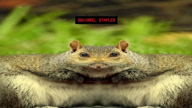 MY WIFE NEEDS MORE SQUIRRELS! | Squirrel Stapler HORROR GAME Part 1