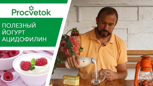 РЕЦЕПТЫ ЗДОРОВЬЯ: полезный ЙОГУРТ Ацидофилин