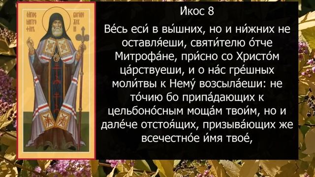 Акафист молитва Митрофану Воронежскому