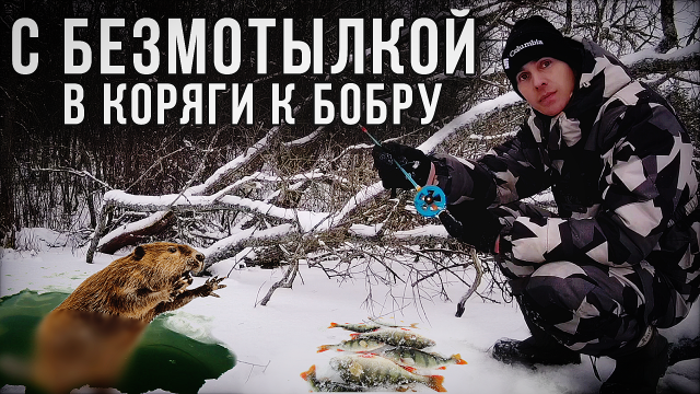 Второй первый лёд. Зимняя рыбалка на безмотылку в корягах. Ловля окуня