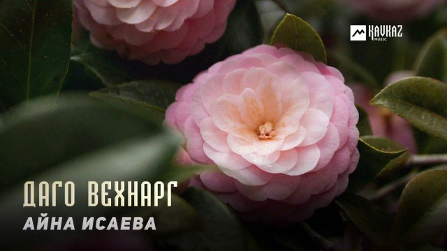 Айна Исаева - Даго вехнарг | KAVKAZ MUSIC CHECHNYA