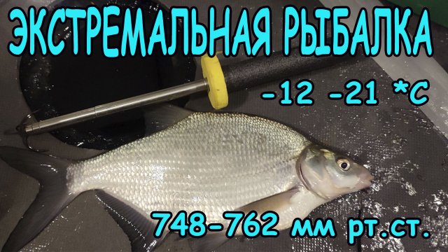 Экстремальная рыбалка на ЛЕЩА в перепад давления и температуры и сильный ветер