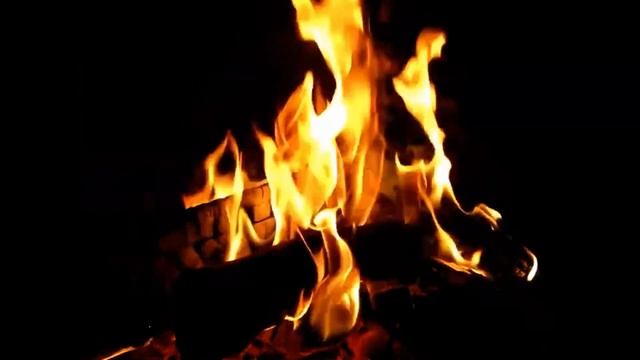 Костер. Живой ОГОНЬ | Bonfire | Звуки огня | Звуки пламени | Огонь для сна | Заставка ТВ
