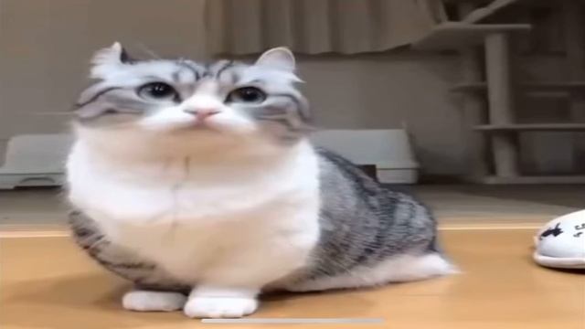 Бананчики мем