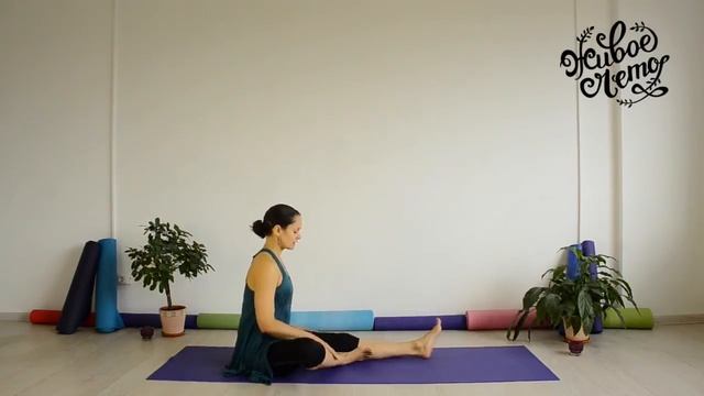 йога - урок 5. комплекс упражнений для снятия стресса и улучшения сна