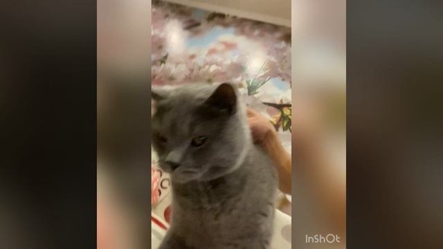 Федя