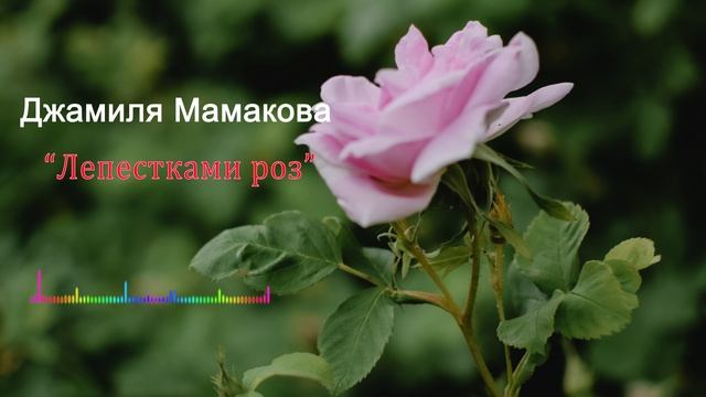Джамиля Мамакова - Лепестками роз 2023