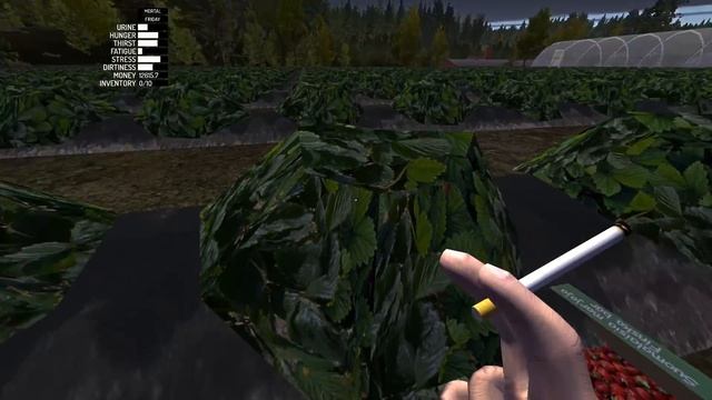 My Summer Car - СОБИРАЮ КЛУБНИКУ