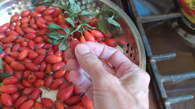 Прежде чем сушить ШИПОВНИК в каждой ягоде надо?