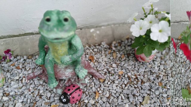 Где применить творческий подход