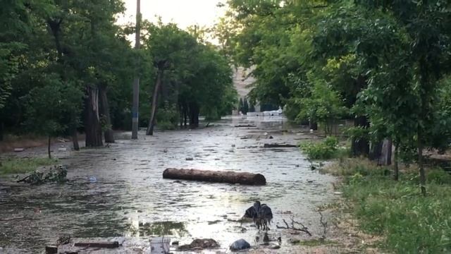 Новая Каховка прямо сейчас