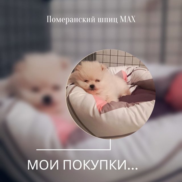 Новые покупки...?️
