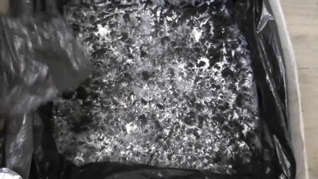 Грибы дома круглый год. Шампиньоны выращивание