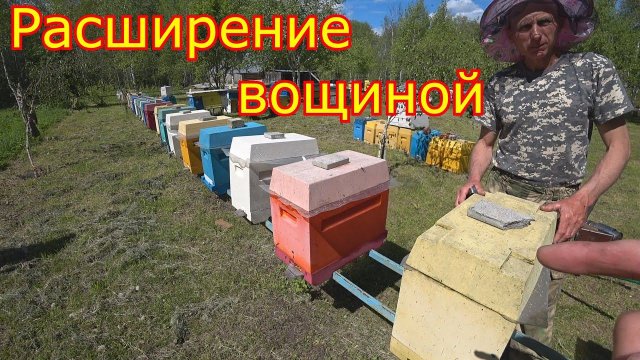 ШЕСТИРАМОЧНИКИ, расширение вощиной! О МАТКАХ!