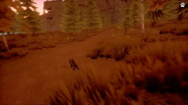 Paws and Soul Gameplay (PC HD)