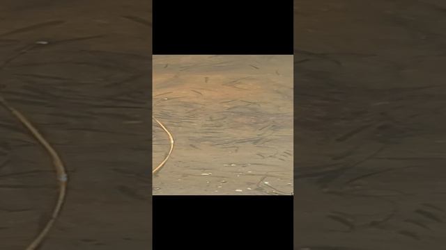 20240718_093837.mp4