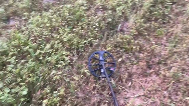 MINELAB EQUINOX 800. Тест профессионального металлоискателя.