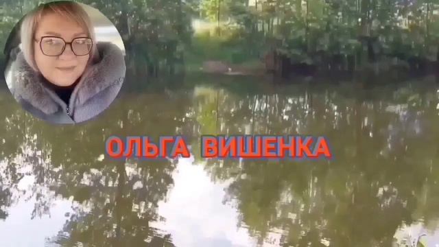 ЧТО СЛУЧИЛОСЬ С СЕСТРИЦАМИ? ЮЛЯ СТАР. ОБЗОР.