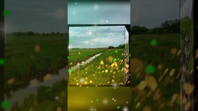 Первые грибы и природа Хабаровска ❤️
