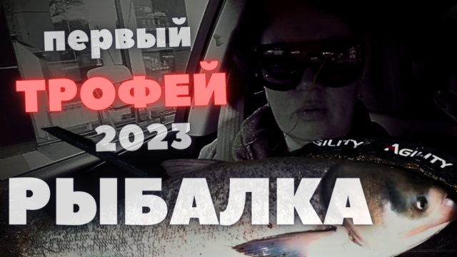 КАК ПОЙМАТЬ ТОЛСТОЛОБА ВЕСНОЙ, 11+кг ? ПЕРВЫЙ ТРОФЕЙ в 2023 году, ВЕСЕННЯЯ РЫБАЛКА НА ПЛАТНИКЕ.