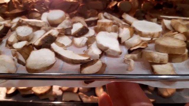 Сушка грибов в духовке первый раз.мои выводы.