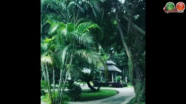 #Паттайя, подробный обзор отеля NATURAL PARK RESORT...