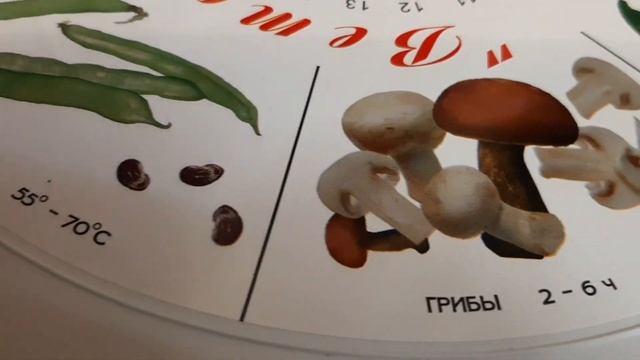 СУШИЛКА ВЕТЕРОК. Сушим Белые.#грибы