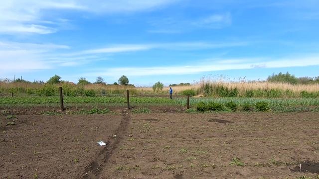 Триммер бензиновый для травы ? Как косить и делать валок мотокосой