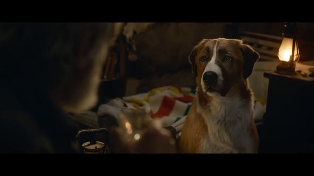 The Call of the Wild