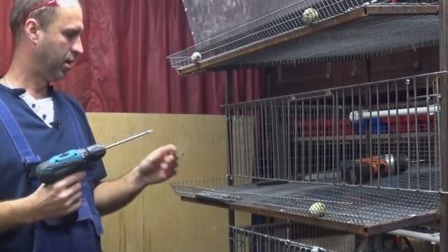 Клетка для перепелов своими руками. Изготовление передней стенки , подробно с размерами.