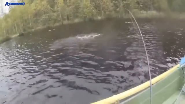 Упал с лодки
