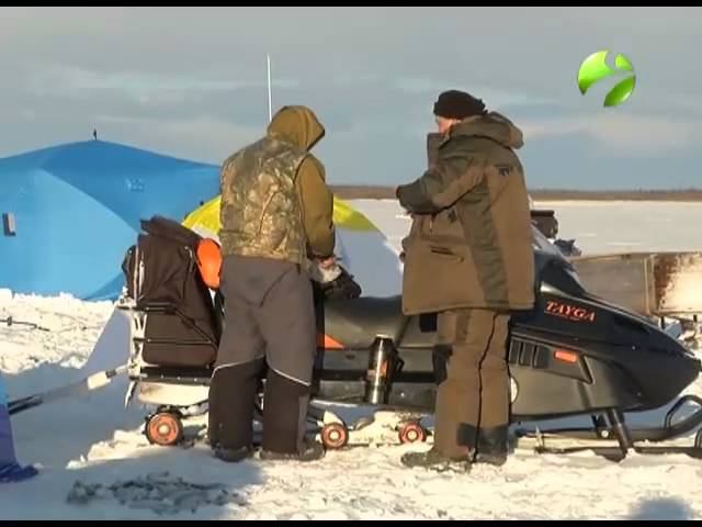 С полем! "Охота на пыжьяна" (#С_полем)