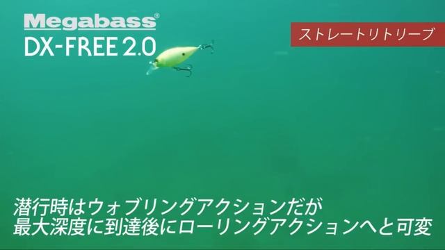 ТОПовые воблера из Японии. Экспресс обзор на Megabass, Gan Craft, Madness