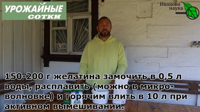 ТЕПЕРЬ БЕЛЮ ДЕРЕВЬЯ ИМЕННО ТАК!  Целых 4 лучших ОРГАНИЧЕСКИХ закрепителей побелки для деревьев.