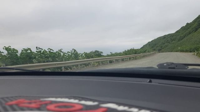 20230626_185001.mp4