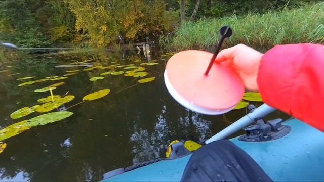 Как ставить живца на кружки.Как ставить кружки на хищника.