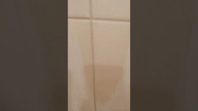 Как правильно затирать Как правильно затирать плитка