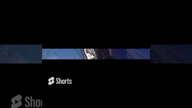 охота на зайца 2024г.