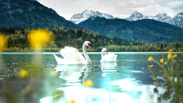 Музыка НЕЗЕМНОЙ Красоты, затрагивающая самые сокровенные уголки Души... Такую Музыку уже не забудеш