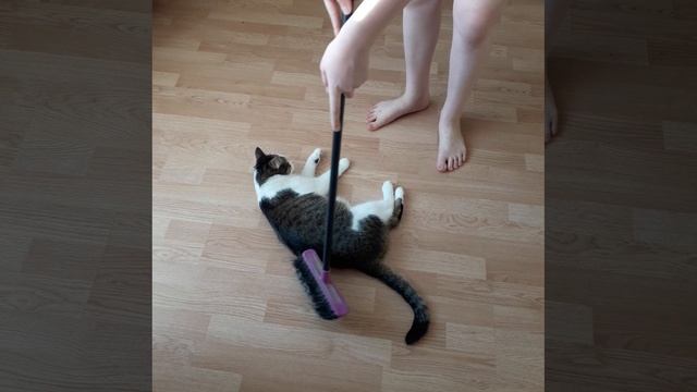 20190716_192646.mp4