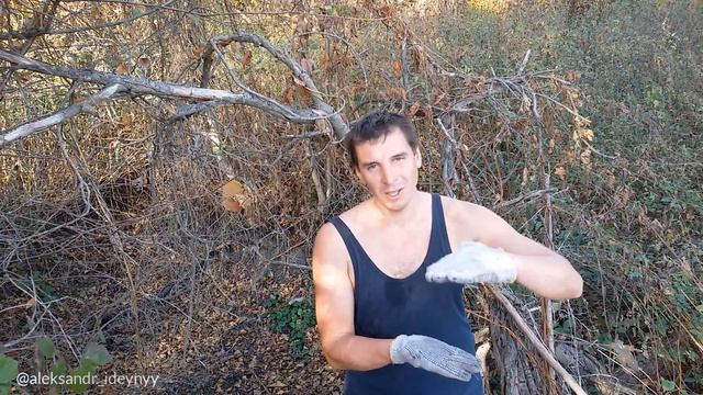 Такого мы не ожидали на канале Самоделки для дачи