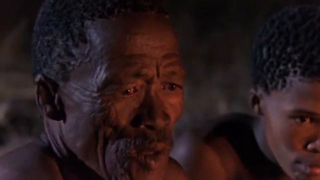 Наверное боги сошли с ума