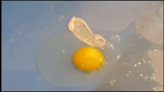 ЧЕМ РАЗВЛЕЧЬ ДЕТЕЙ #1 ОПЫТЫ ЭКСПЕРИМЕНТЫ С ЯЙЦАМИ