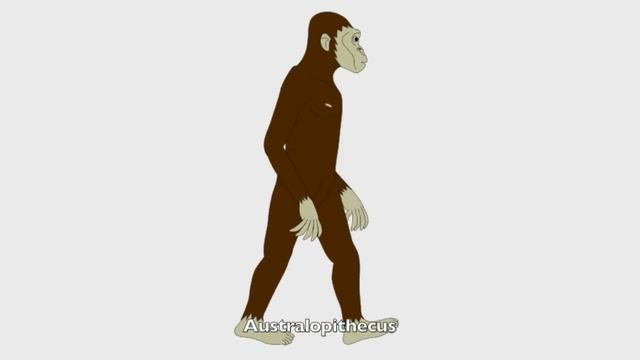 100 Prehistoric Beasts 1 of 4