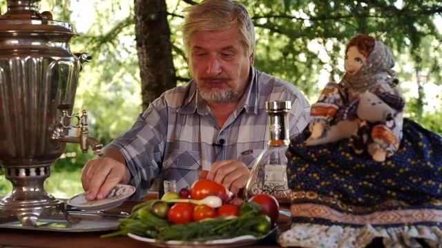 С.В. Савельев - Инструкция